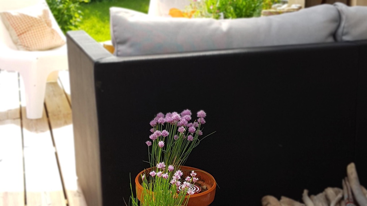 Photo of Outdoor in Apprieu
