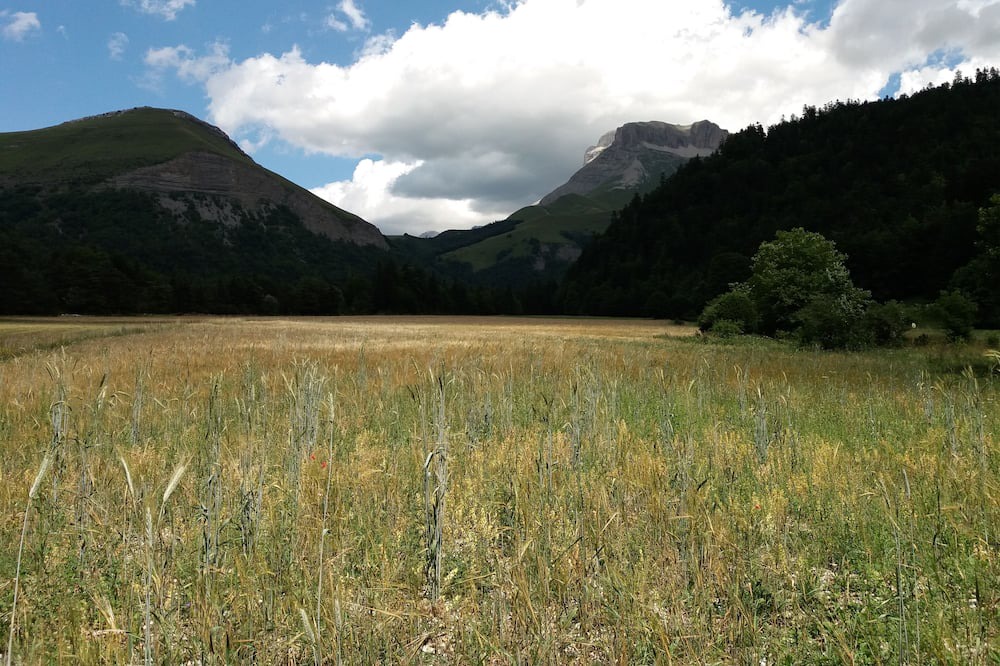 Photo of Outdoor in Saint-Julien-en-Beauchene