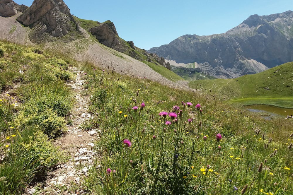 Photo of Outdoor in Saint-Julien-en-Beauchene