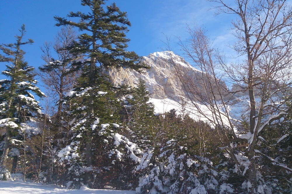 Photo of Outdoor in Saint-Julien-en-Beauchene