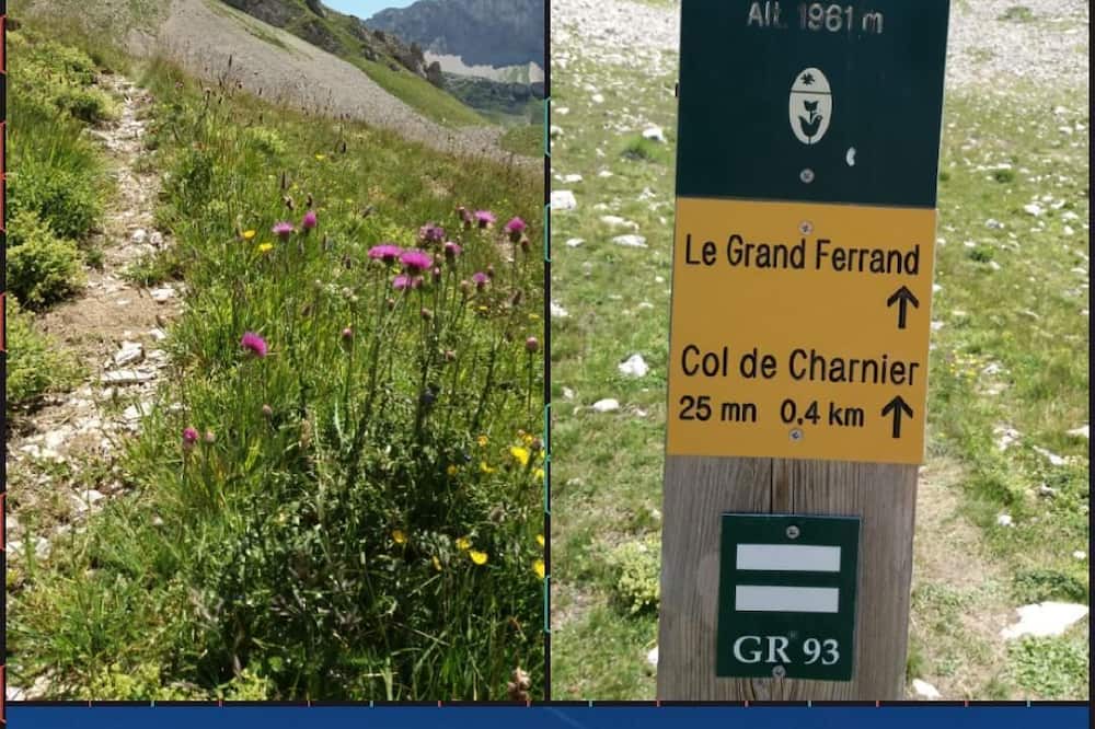 Photo of Outdoor in Saint-Julien-en-Beauchene