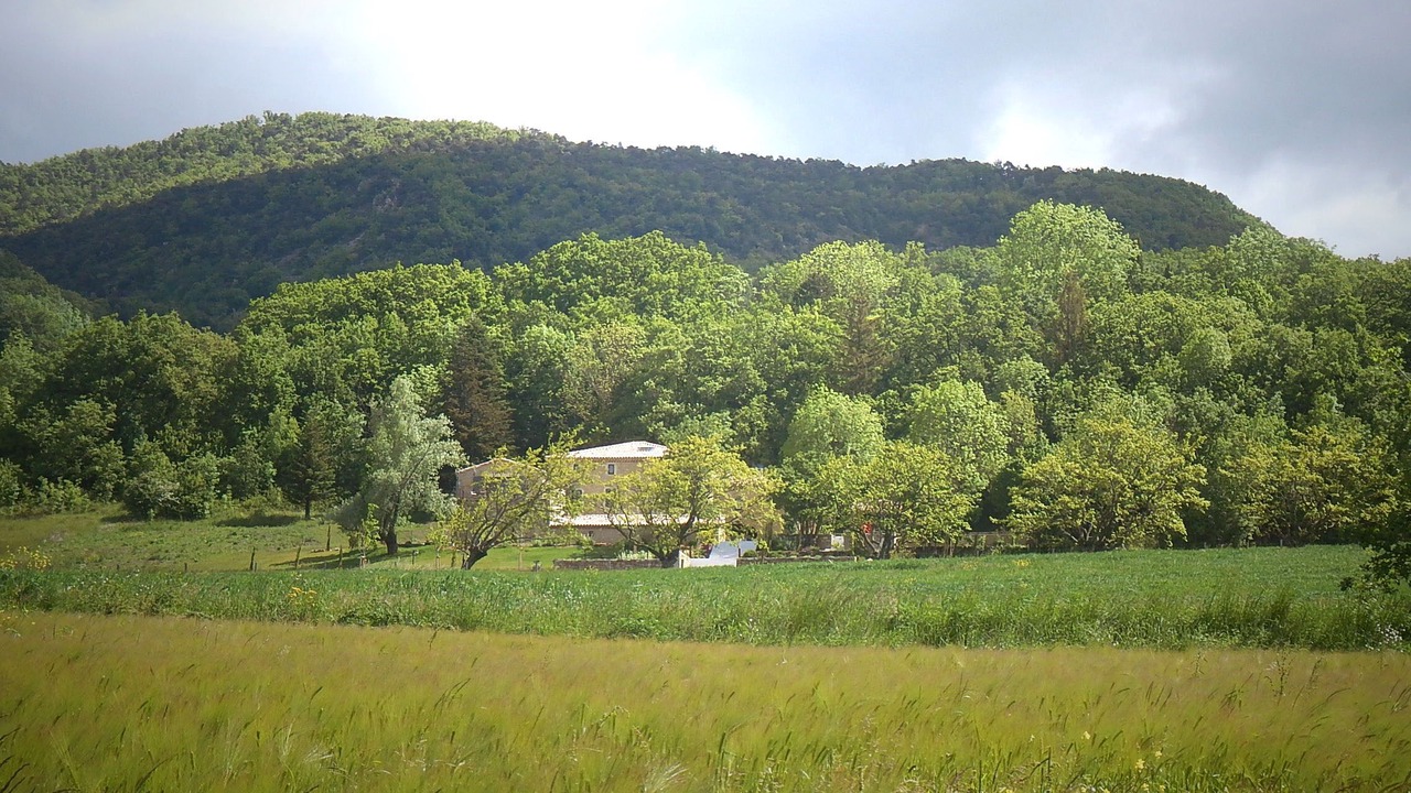Photo of Outdoor in Bourdeaux