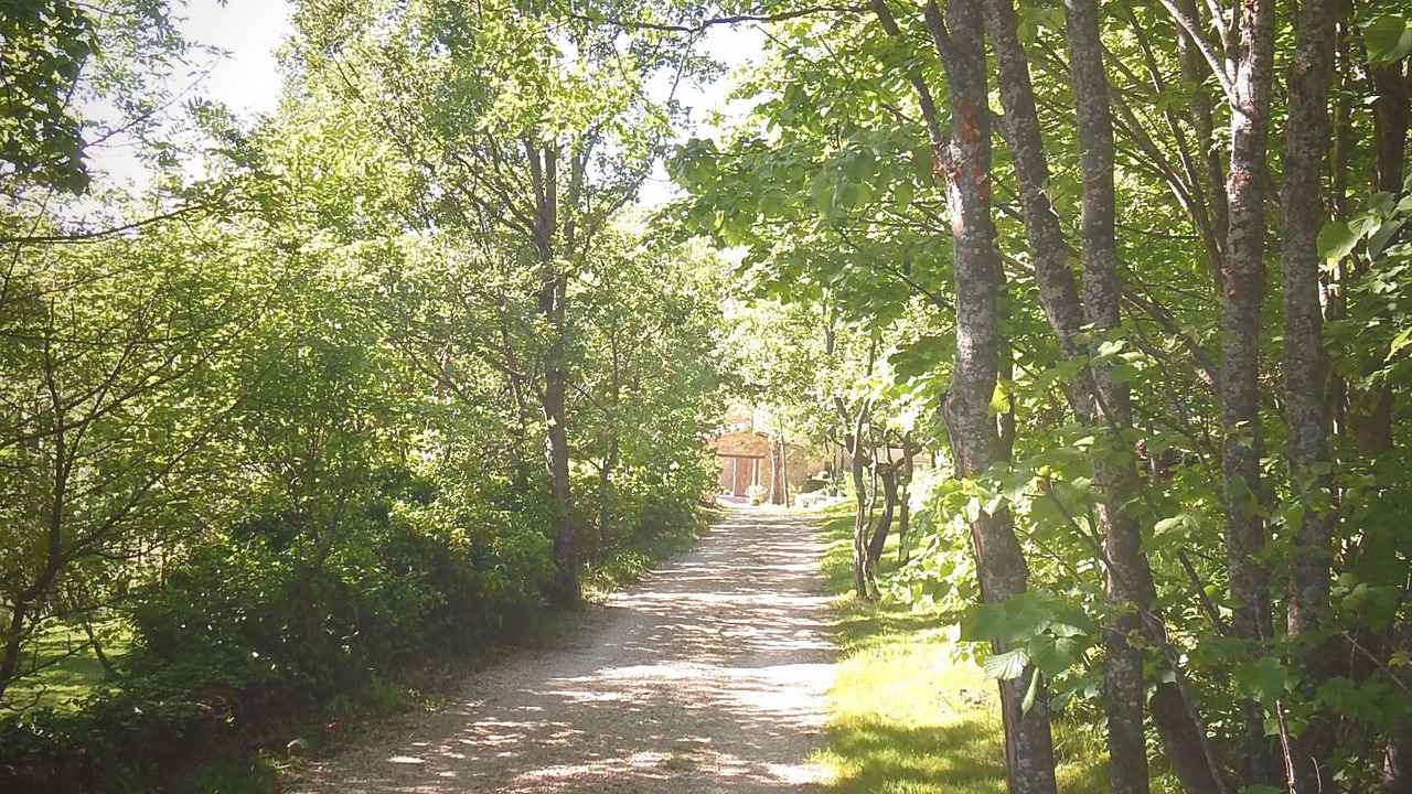 Photo of Outdoor in Bourdeaux
