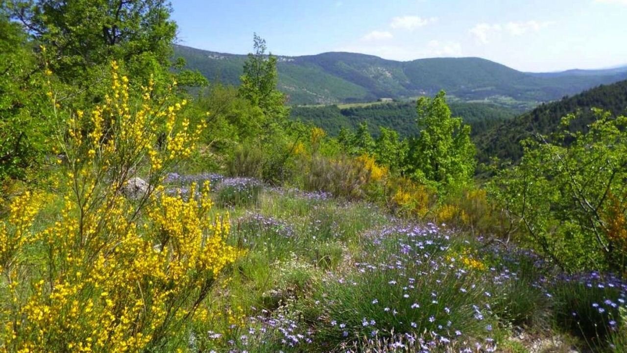 Photo of Outdoor in Montbrun-les-Bains