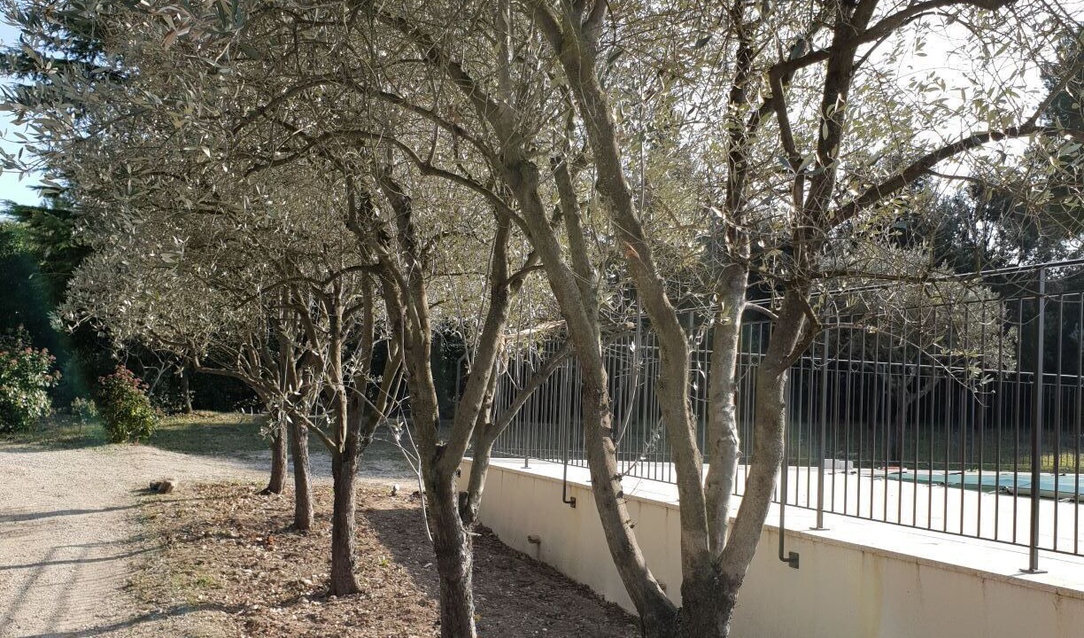 Photo of Outdoor in La Roque-sur-Pernes