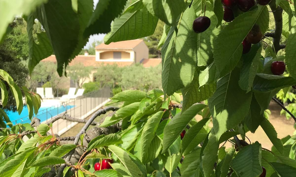 Photo of Outdoor in La Roque-sur-Pernes