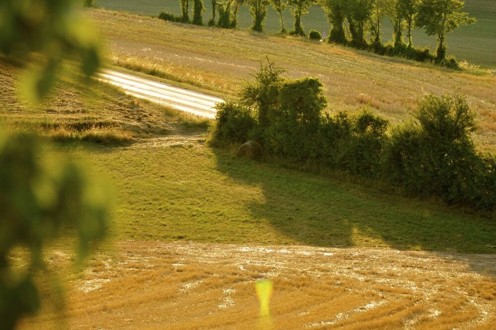 Photo of Outdoor in Vezelay