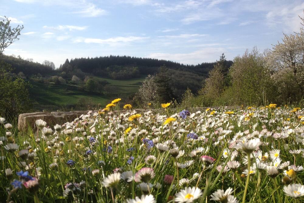 Photo of Outdoor in Boffres