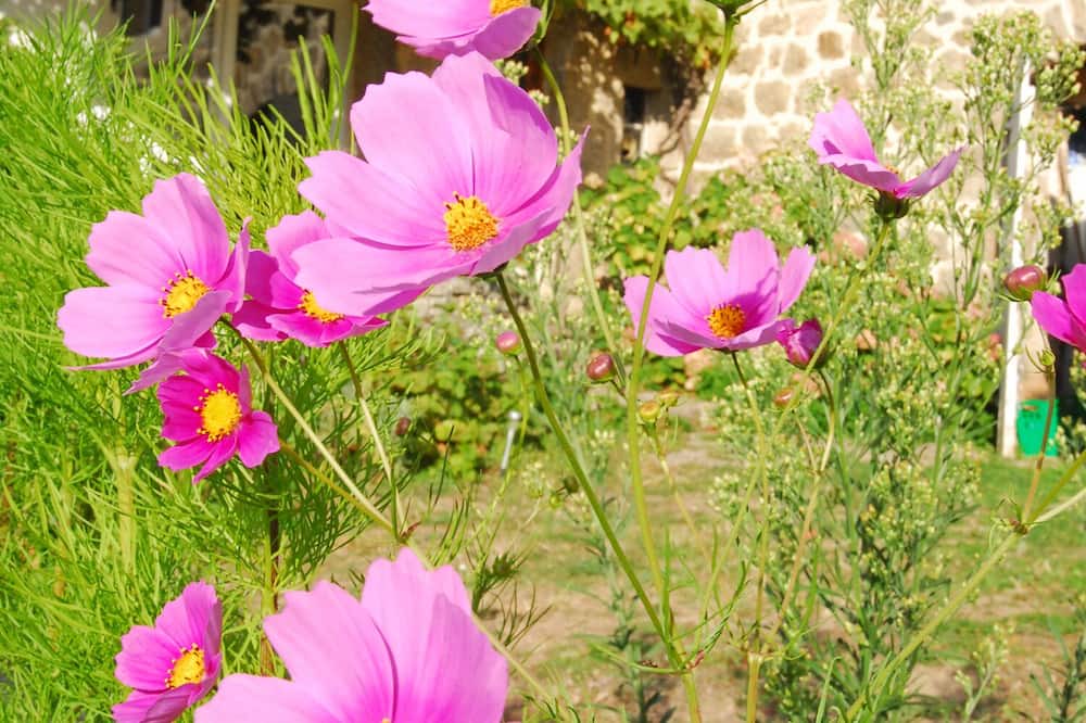 Photo of Outdoor in Boffres
