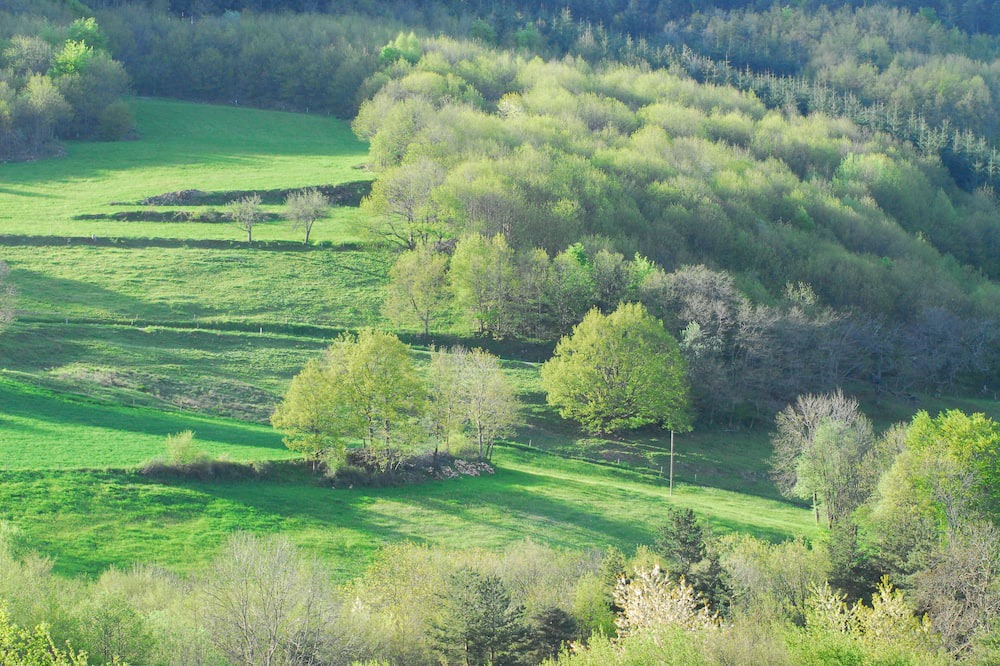 Photo of Outdoor in Boffres