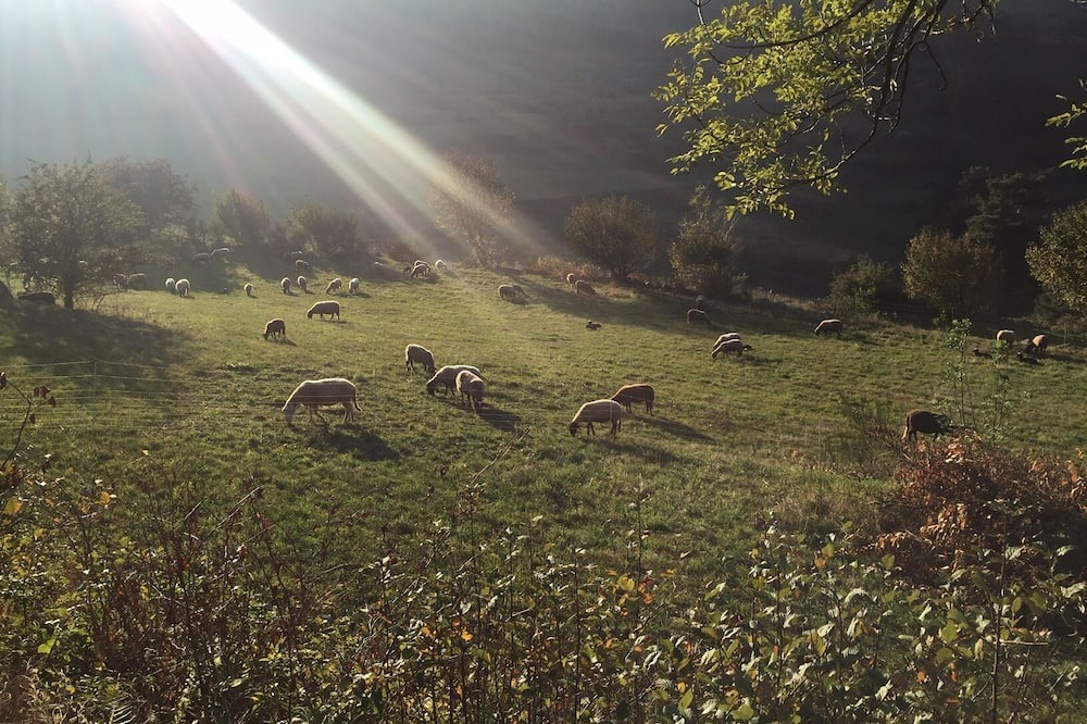 Photo of Outdoor in Boffres