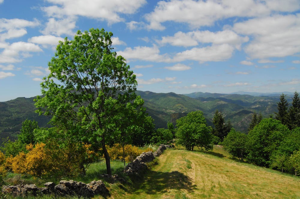 Photo of Outdoor in Boffres