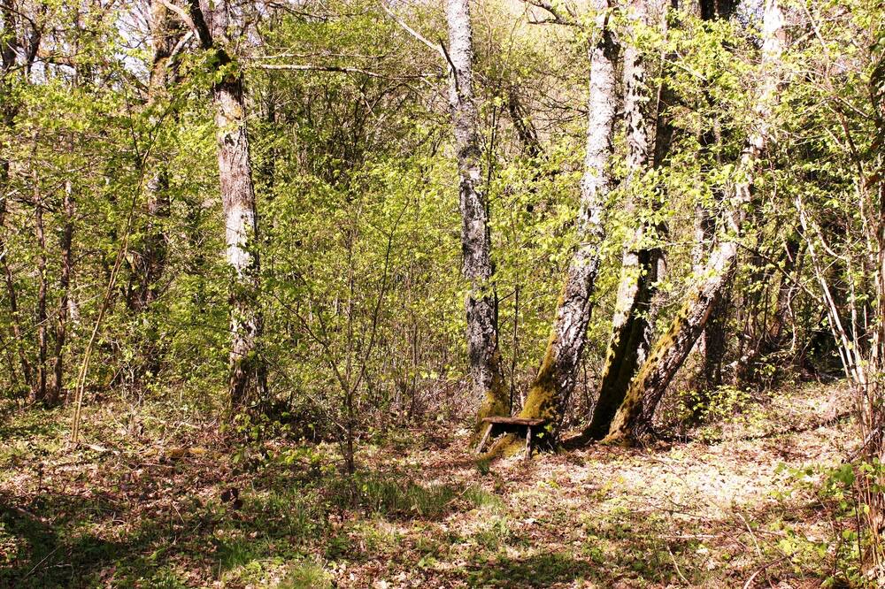 Photo of Others in Roussillon-en-Morvan