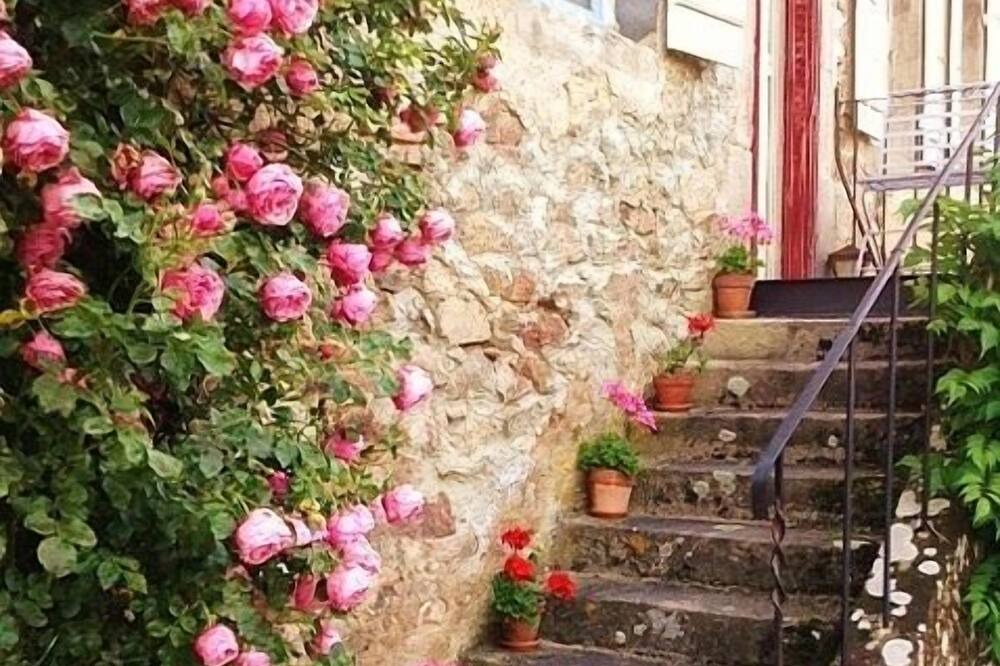 Photo of Outdoor in Roussillon-en-Morvan