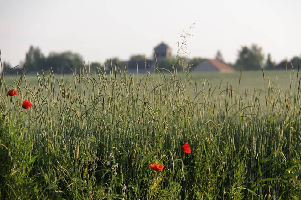 Photo of Outdoor in Gerland