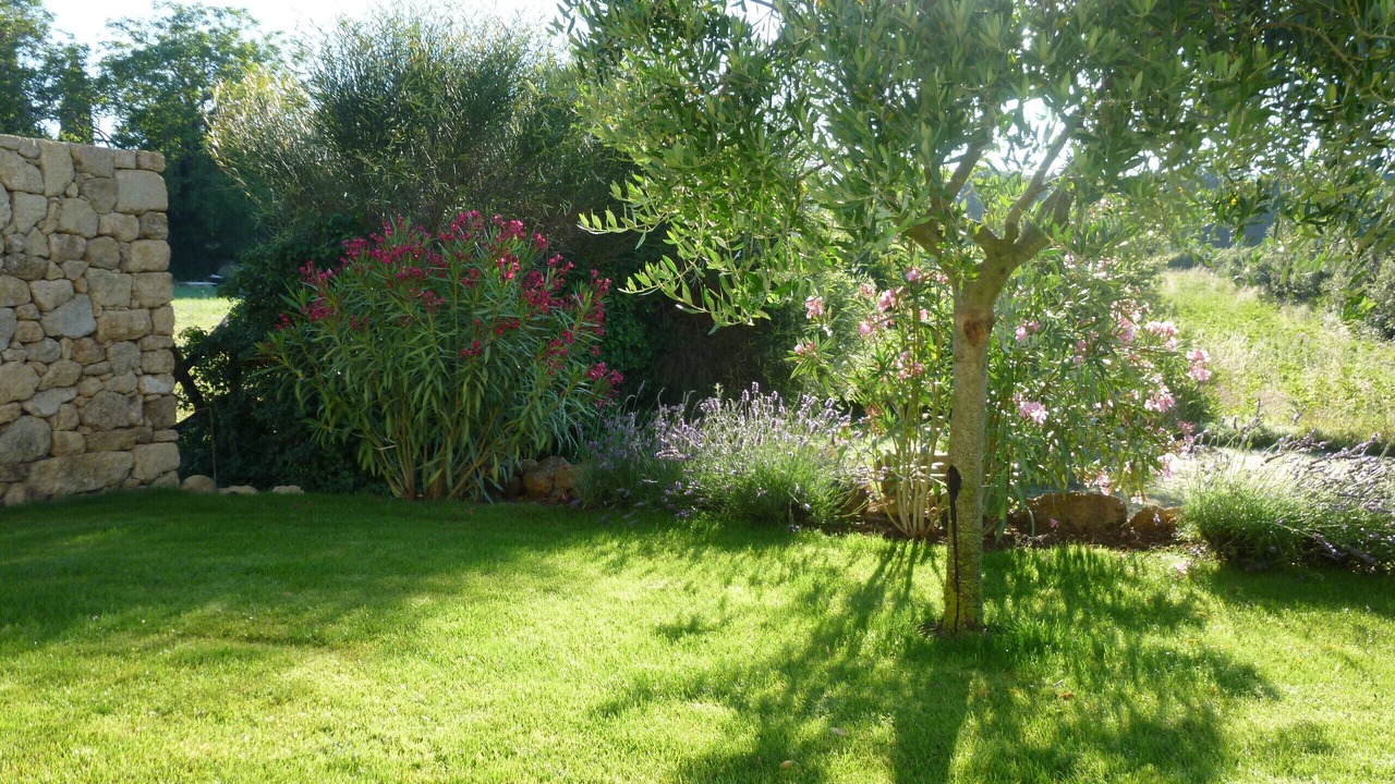 Photo of Outdoor in Grignan