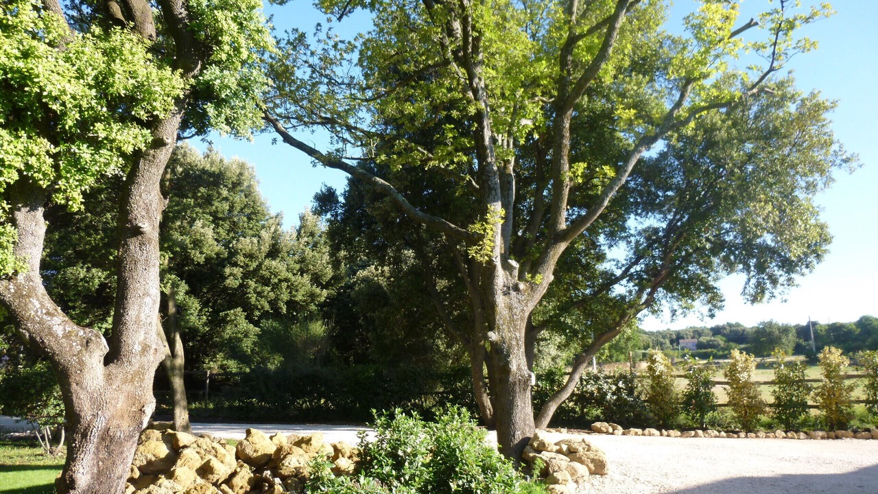Photo of Outdoor in Grignan