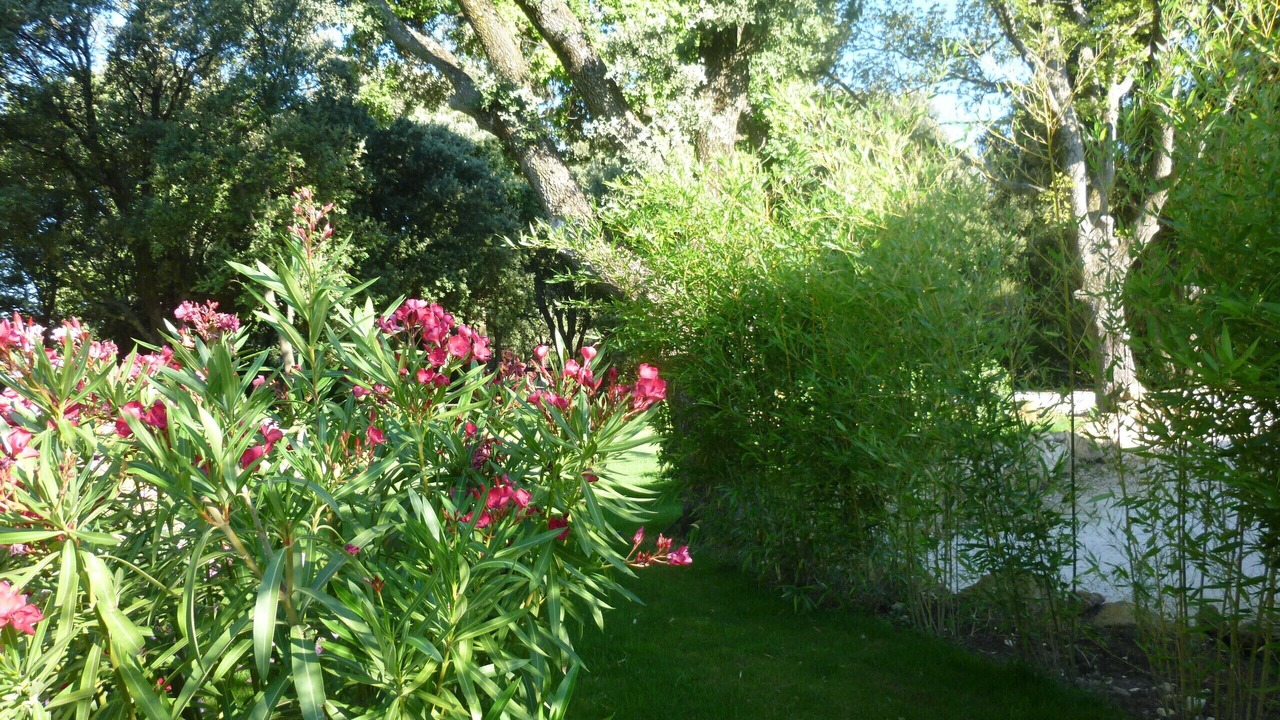 Photo of Outdoor in Grignan