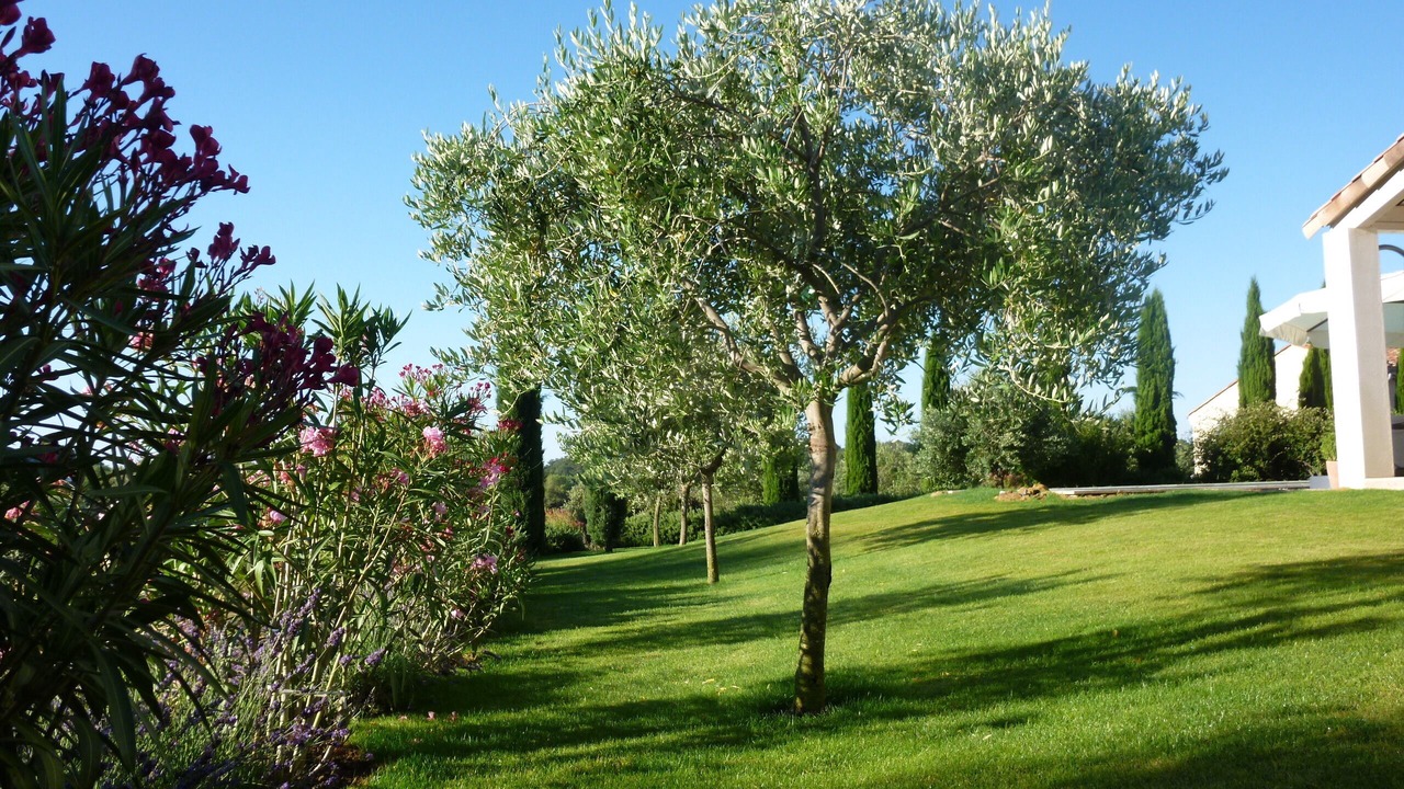 Photo of Outdoor in Grignan