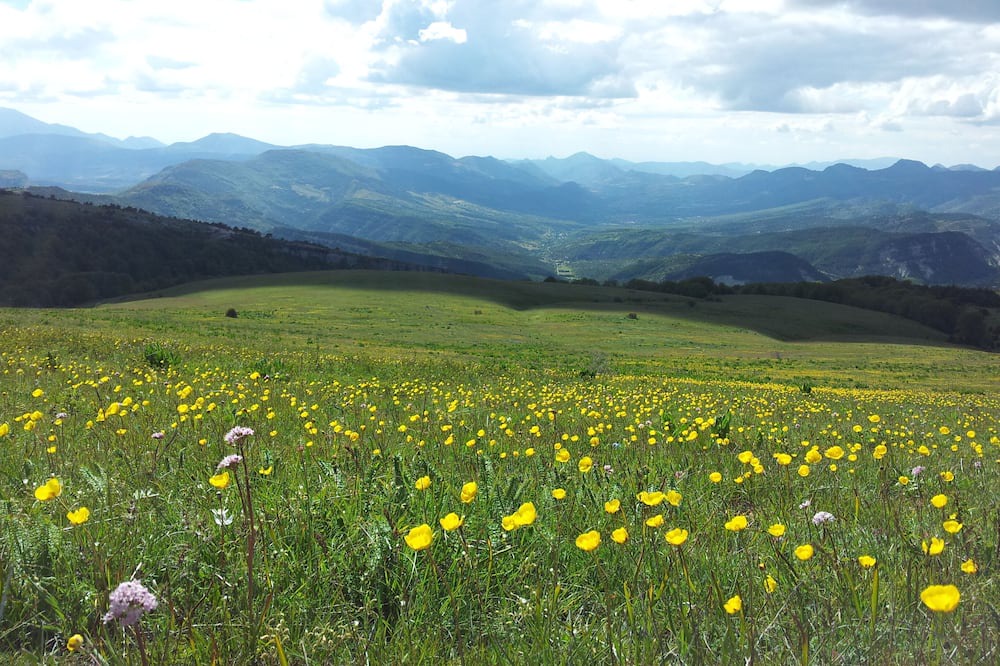 Photo of Outdoor in Montguers