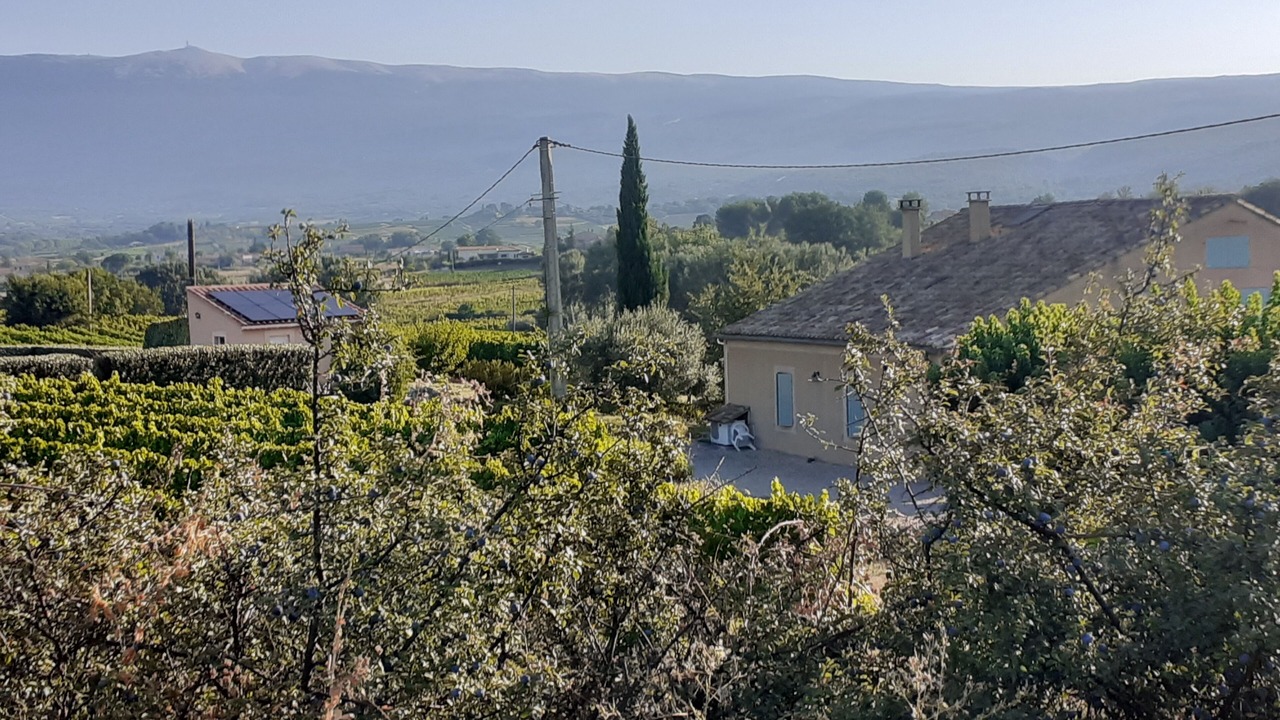 Photo of Outdoor in Blauvac