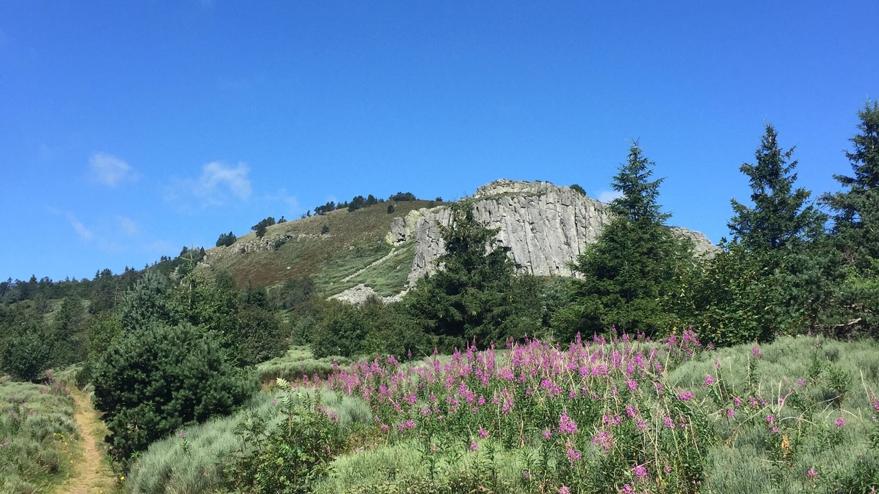 Photo of Outdoor in Les Estables
