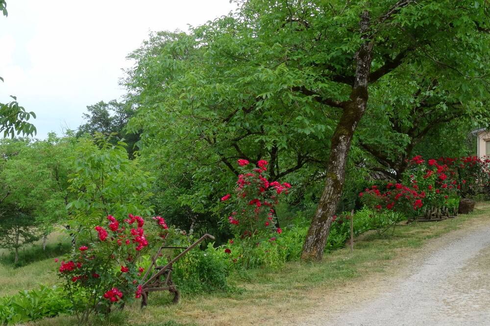 Photo of Outdoor in Villecomtal