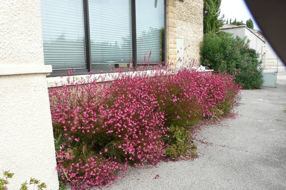 Photo of Outdoor in Violes