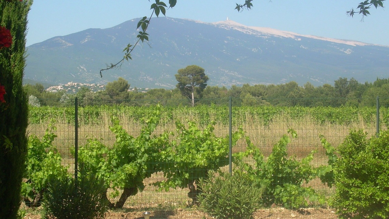 Photo of Outdoor in Caromb