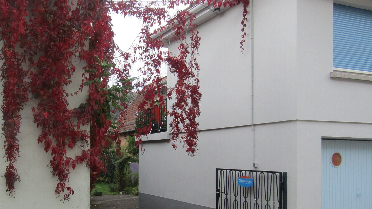 Photo of Outdoor in Saint-Amarin