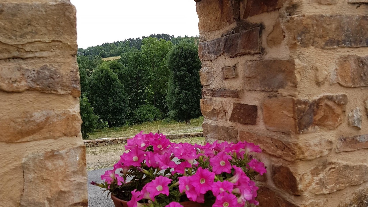 Photo of Outdoor in Coren