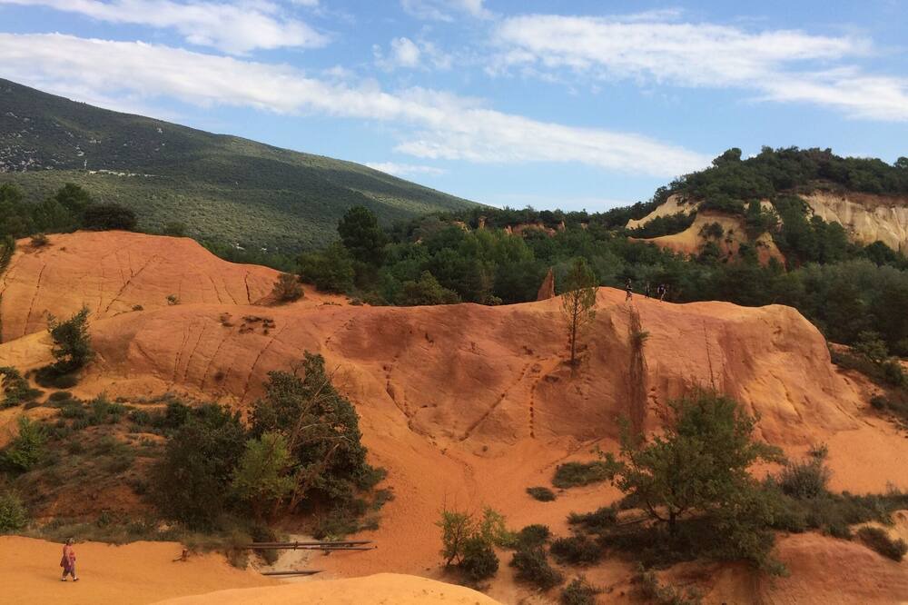 Photo of Outdoor in Puget
