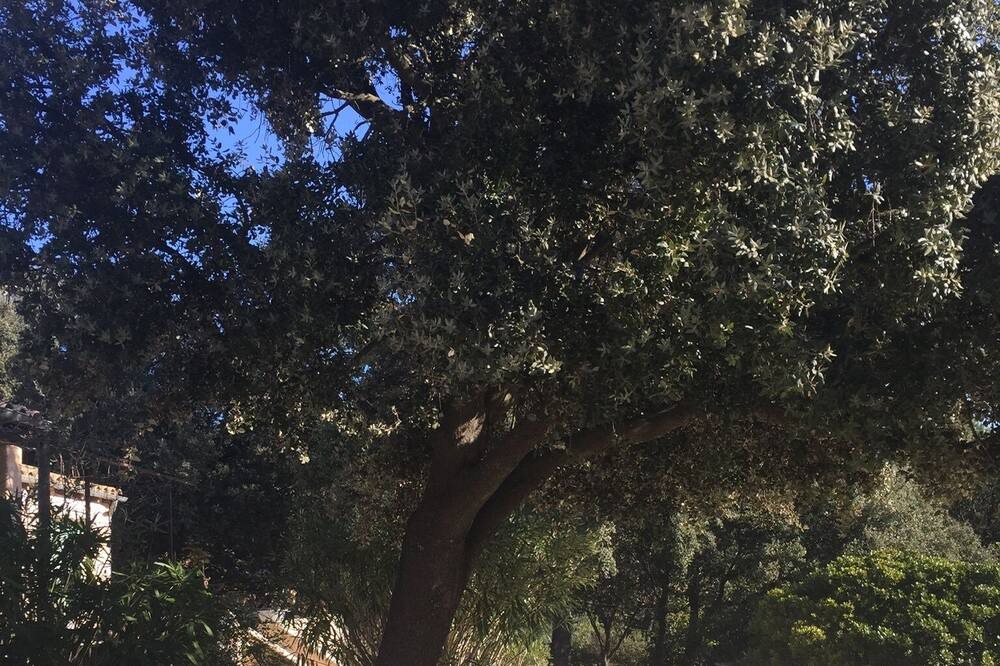 Photo of Outdoor in Puget