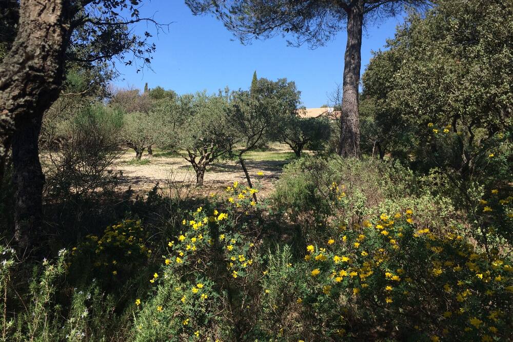 Photo of Outdoor in Puget