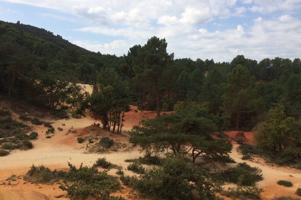 Photo of Outdoor in Puget