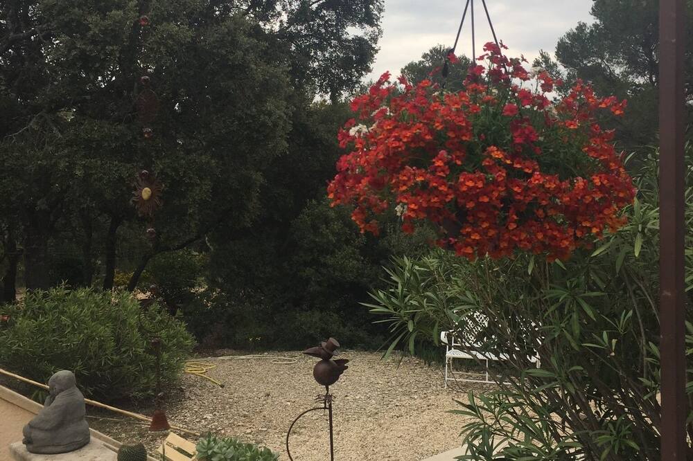 Photo of Outdoor in Puget