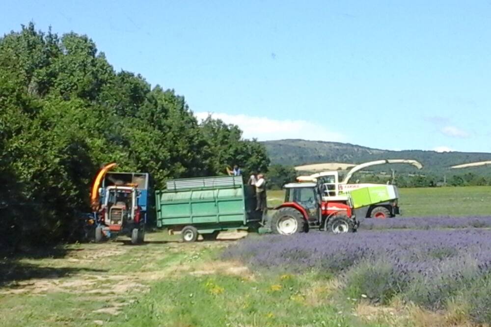 Photo of Others in Le Barroux