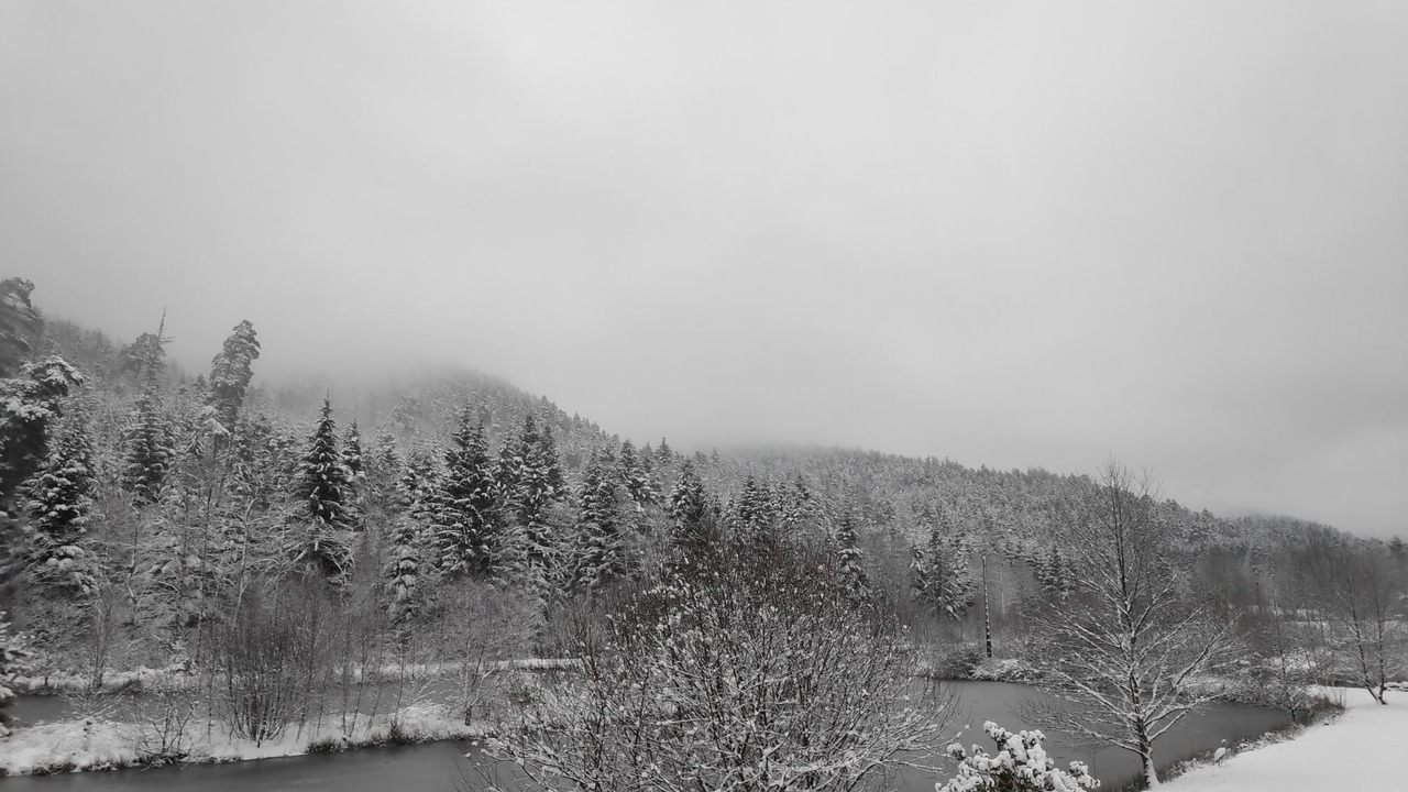 Photo of Others in Bois-de-Champ