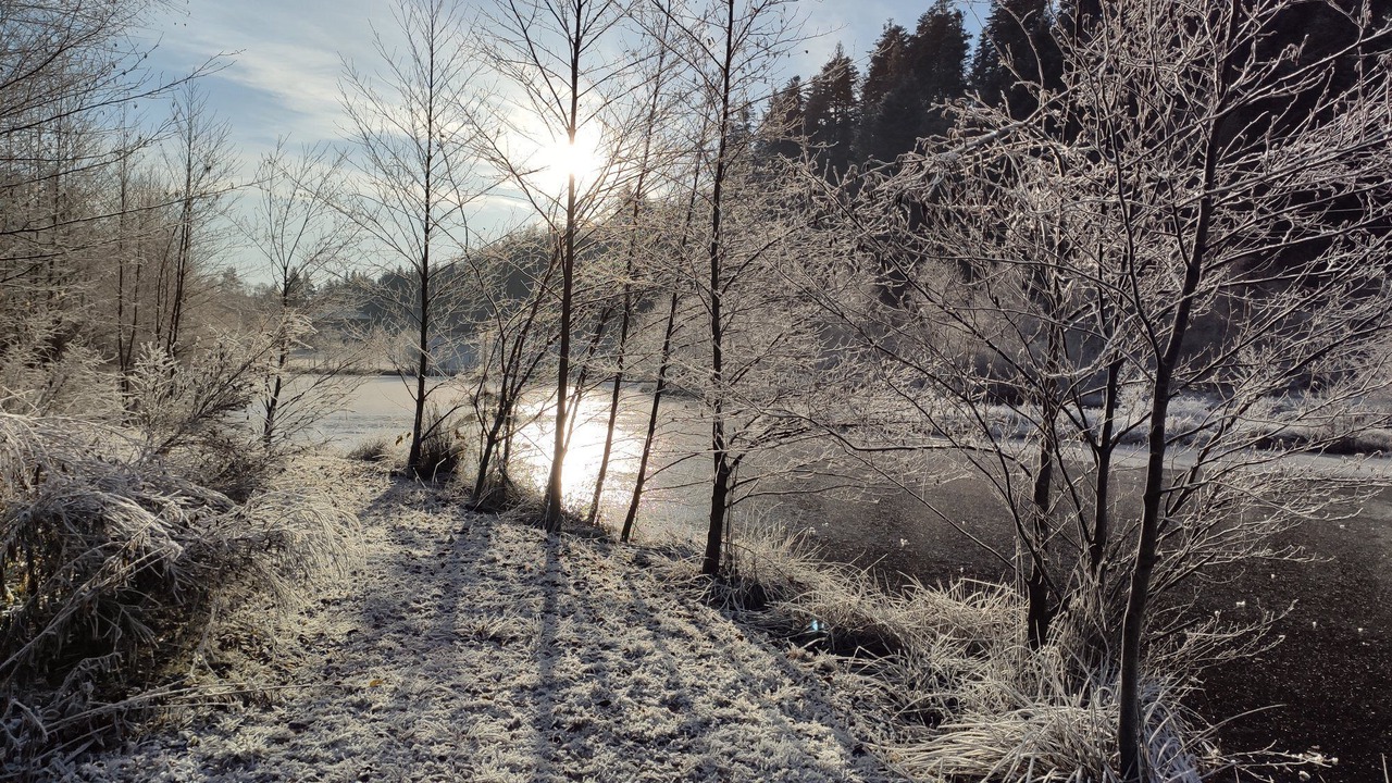 Photo of Outdoor in Bois-de-Champ