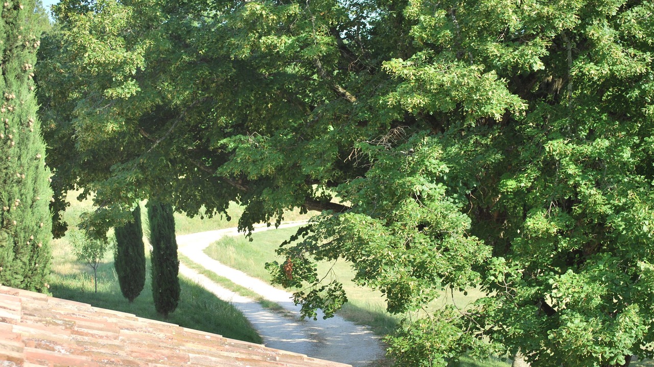 Photo of Outdoor in Roynac