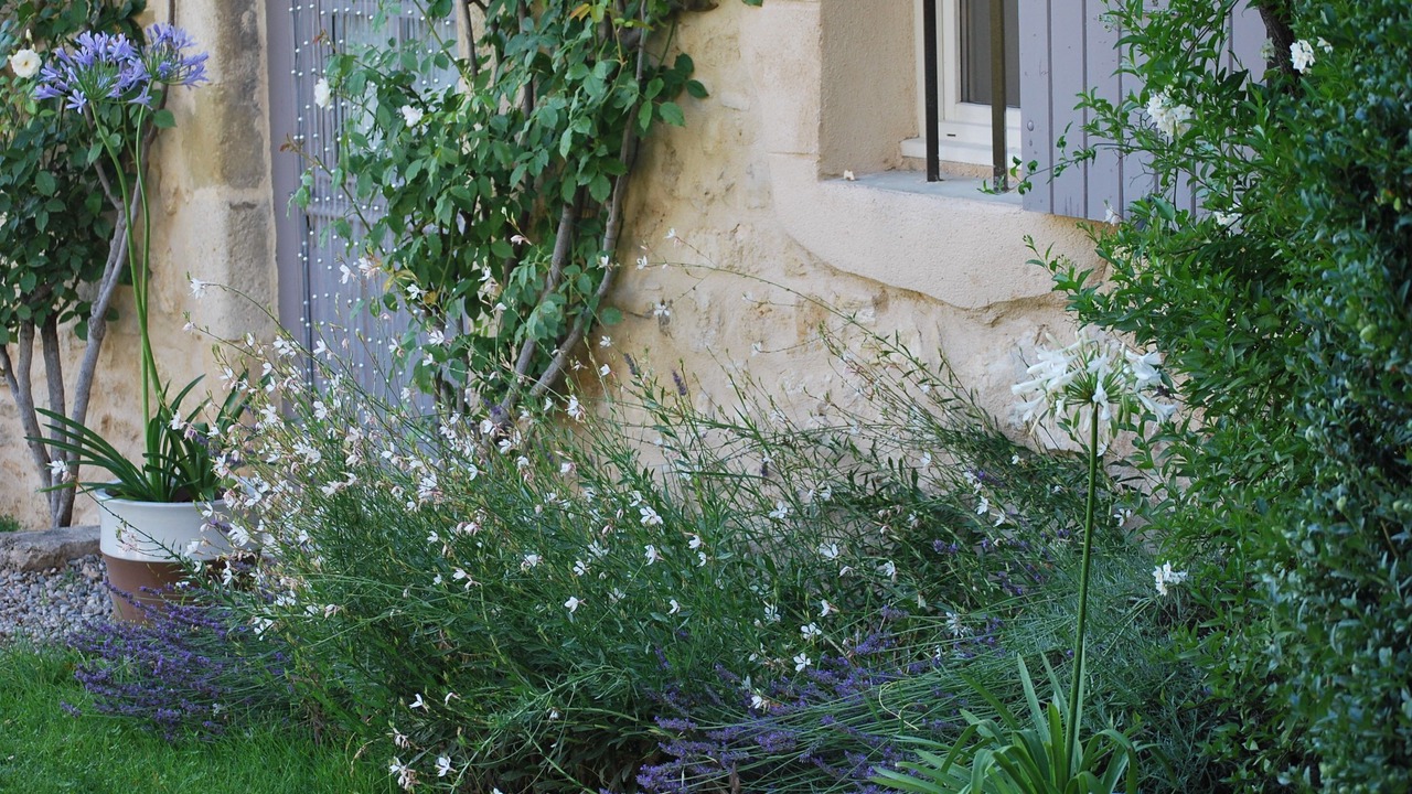 Photo of Outdoor in Roynac