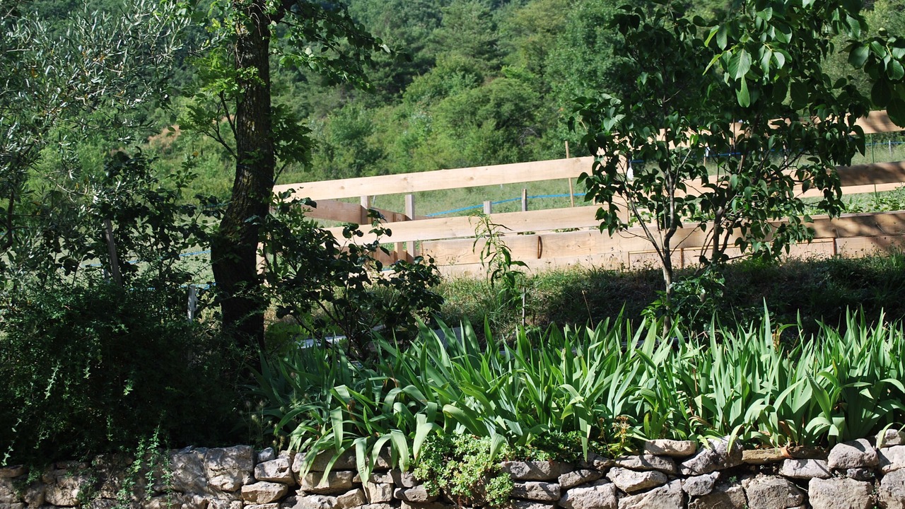 Photo of Outdoor in Roynac