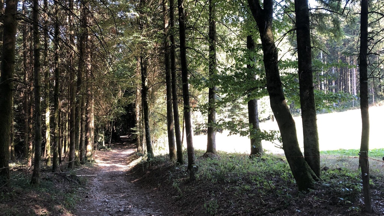 Photo of Outdoor in Le Val-d'Ajol