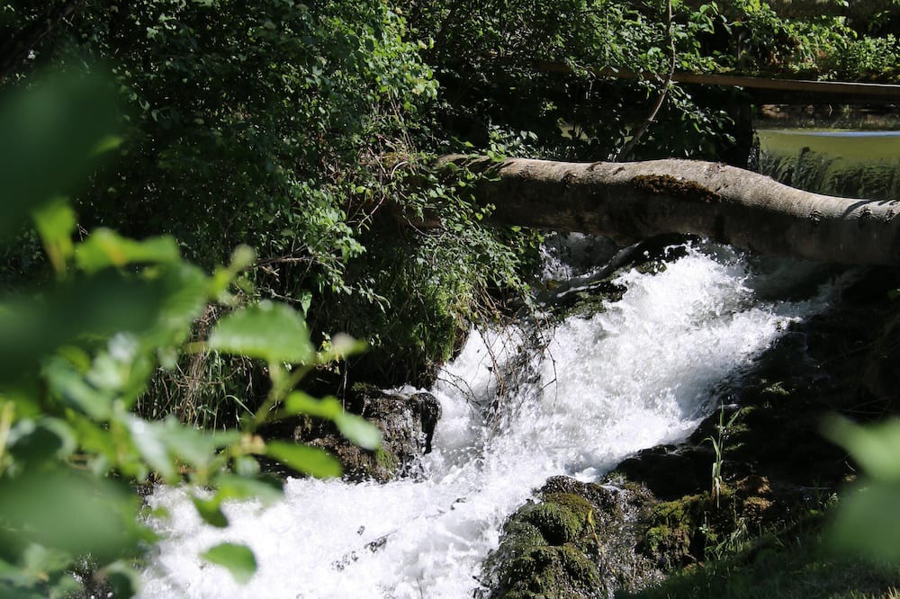 Photo of Outdoor in Courlaoux