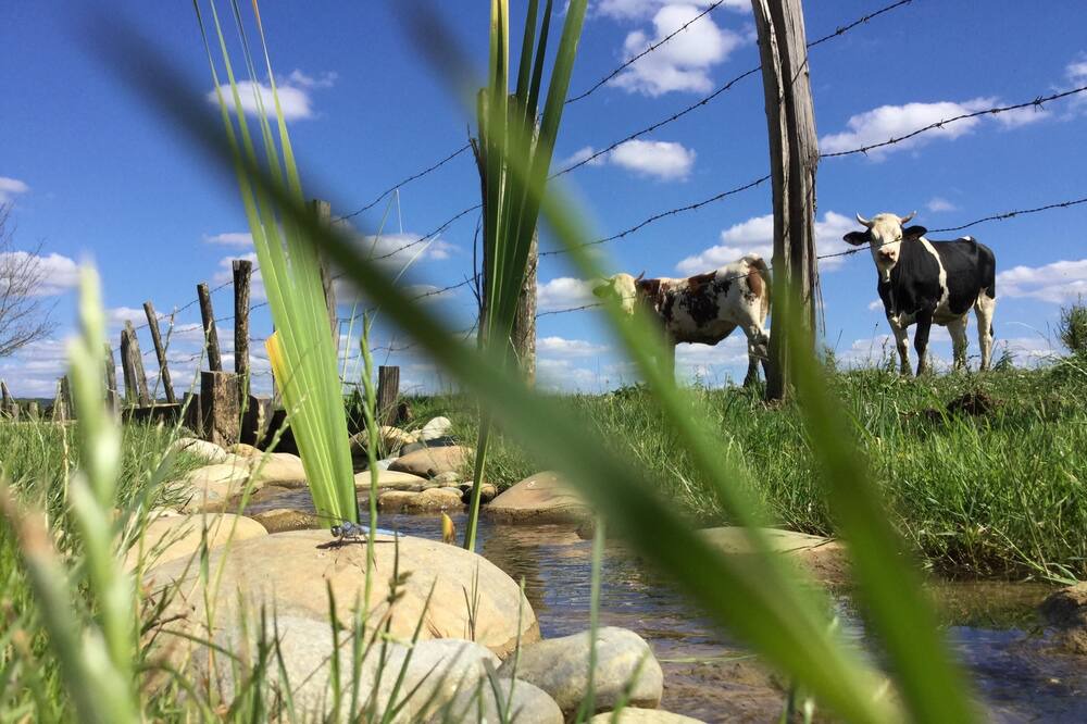 Photo of Outdoor in Courlaoux