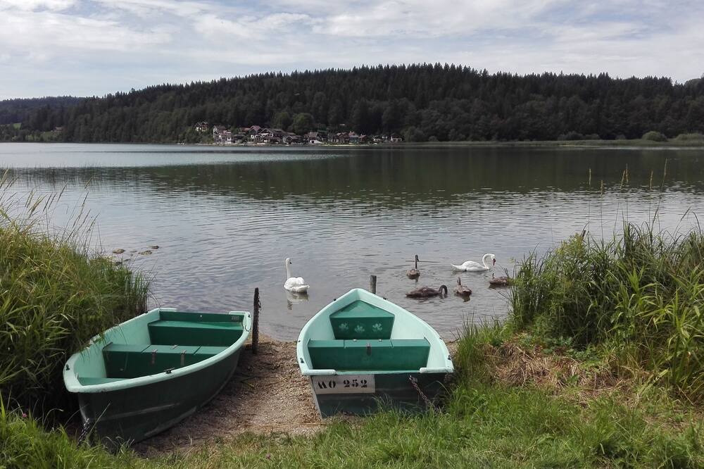 Photo of Others in Hauterive-la-Fresse