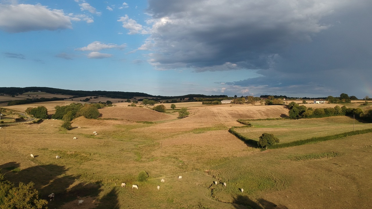 Photo of Others in Ternant