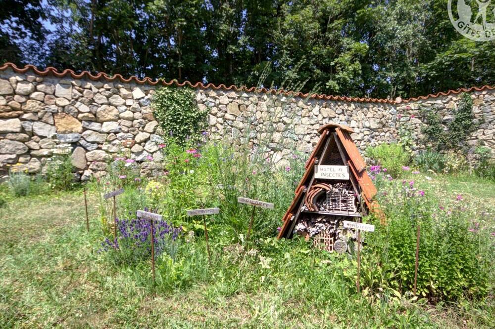 Photo of Outdoor in Saint-Just-la-Pendue