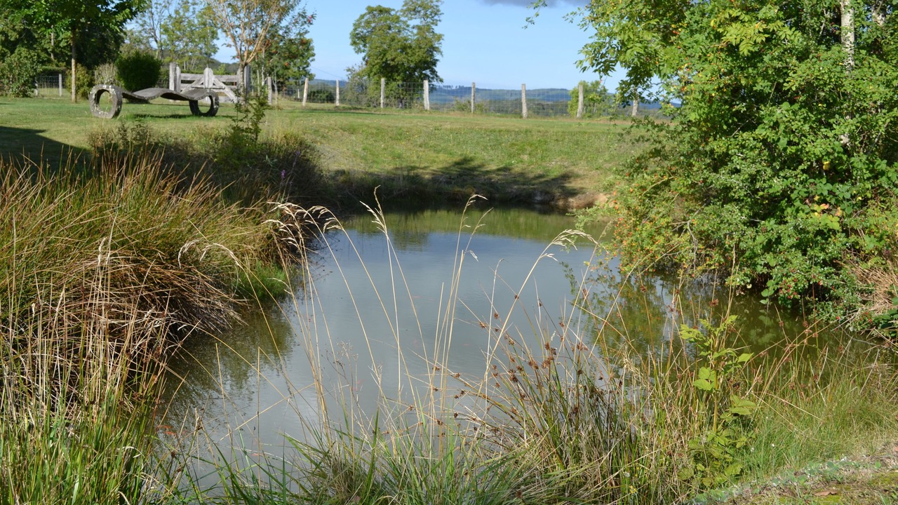 Photo of Outdoor in Chissey-en-Morvan