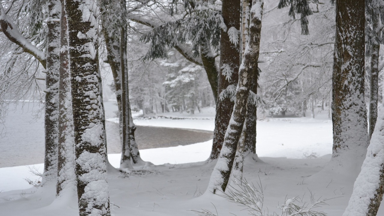 Photo of Others in Chissey-en-Morvan